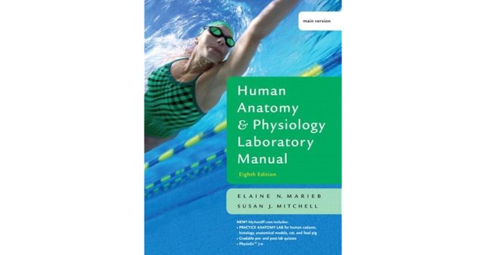 Anatomy and physiology laboratory manual answers