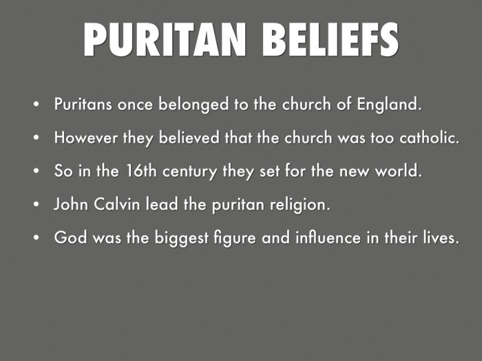 Which of the following beliefs was advanced by the puritans