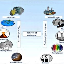 Atmospheric deposition of contaminants is an excellent example of