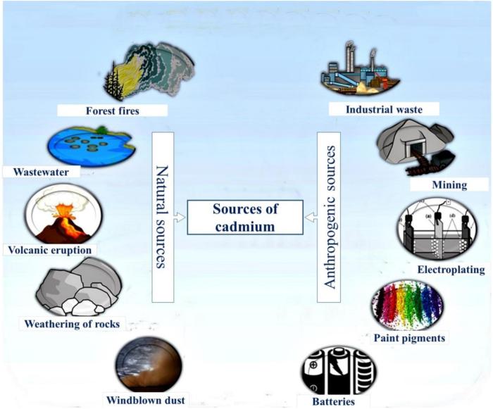 Atmospheric deposition of contaminants is an excellent example of