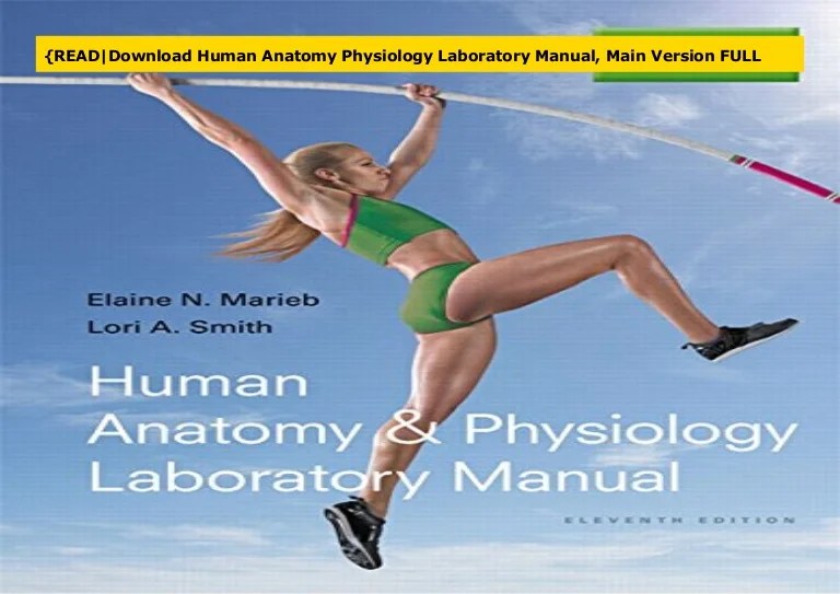 Anatomy and physiology laboratory manual answers