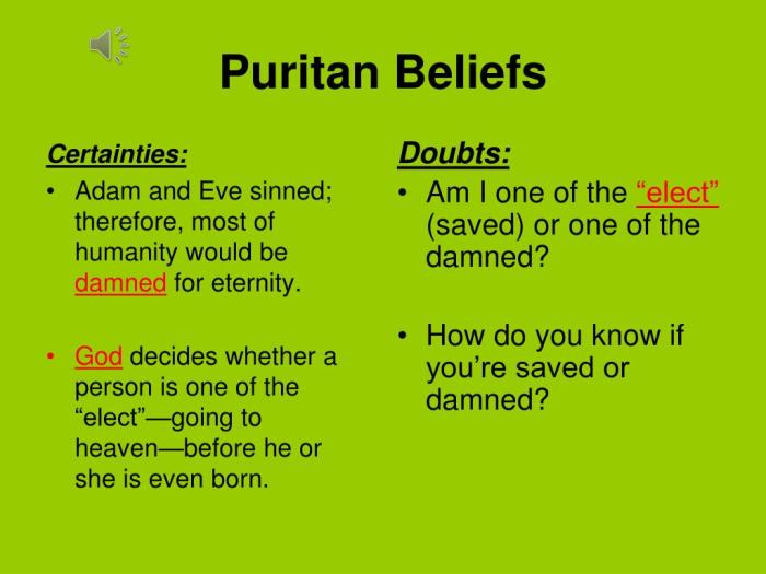 Puritans ppt powerpoint presentation