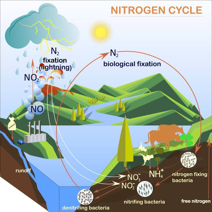 Atmospheric deposition of contaminants is an excellent example of